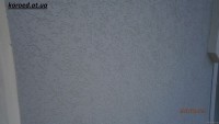 короед  Одесса