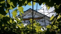 утепление стен пенопластом снаружи цена Одесса
